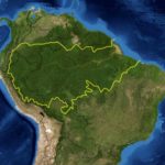 Tâche complexe :  La forêt amazonienne – un environnement fragile soumis aux pressions et aux risques.