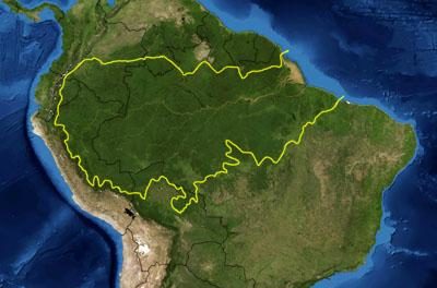 Image illustrant l'article Amazon_rainforest de Clio Lycee