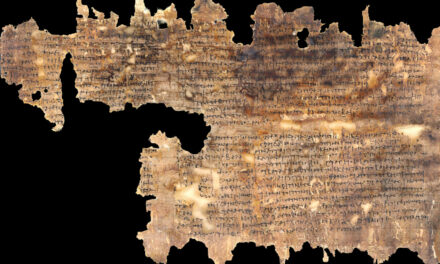constitution antonine clionautes